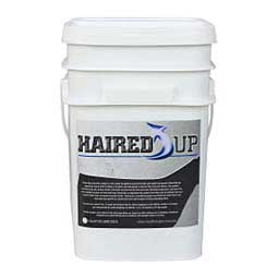 Haired Up Cattle Supplement  Champion Show